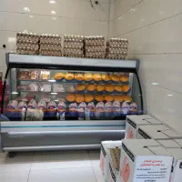 مرغ پیگیر با کالابرگ۲۳۹ و تخم مرغ کیلویی۱۲۵