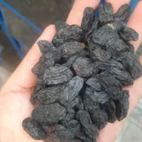 زرشک پفکی و خشکبار به قیمت عمده فروشی|خوردنی و آشامیدنی|اصفهان, پروین|دیوار