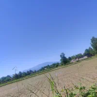 مسکونی-شالی