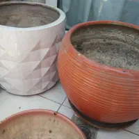 ۱۵ عددگلدان خالی وگلهای طبیعی با گلدان هرعدد۱۰۰ت