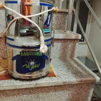 سبزی خردکن سالم