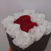 گلهای خوشگل|گل و گیاه طبیعی|مشگین شهر, |دیوار