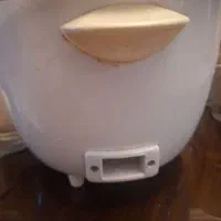 پلو پز استیل|اجاق گاز و لوازم برقی پختوپز|آستارا, |دیوار