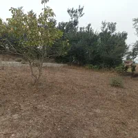 ۲۵۰ متر زمین در چشمکی روستای توریستی گنبک|فروش زمین و ملک کلنگی|توتکابن, |دیوار