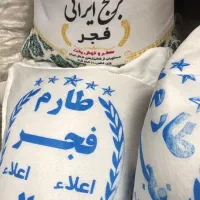برنج‌ طارم فجر گرگان رستورانی تک‌و عمده،کالا برگ