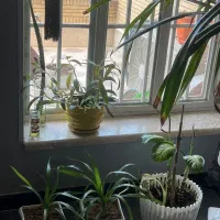 رهن و اجاره یک خوابه