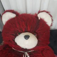 خرس ولنتاین