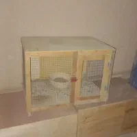 گنجه کبوتر