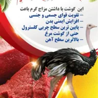 گوشت گرم و آلایش شترمرغ