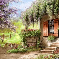 دار قالی و گلیم