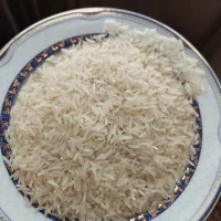 برنج فجر سوزنی سورت شده  کیلویی ۲۸۰۰۰۰ تومن