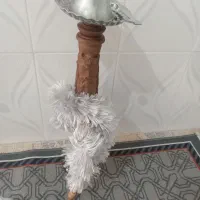 قلیون چوب گردو نو|کلکسیون و سرگرمی|نیشابور, چمبران|دیوار