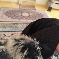 کاپشن پسرانه نو|کفش و لباس بچه|کرمانشاه, |دیوار