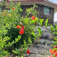 سویت۳۰۰۰ متری در شهرستان ورزنه|اجارهٔ کوتاه‌مدت آپارتمان و سوئیت|اصفهان, شهرستان|دیوار