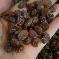 کشمش بدون هسته|خوردنی و آشامیدنی|شیراز, غدیر جنوبی|دیوار