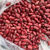 لوبیا قرمز
