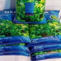 بذر یونجه مخصوص مشهد