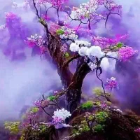 کارگر ، حسابدار ، فروشنده نیازمندیم