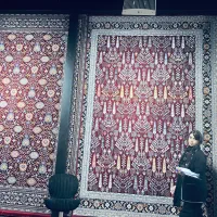 فرش نگین هلال مشهد ۱۵۰۰ شانه تراکم ۴۵۰۰|فرش|شیراز, شهرک سراج‎|دیوار
