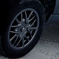 رینگ خرچنگی درحد نو