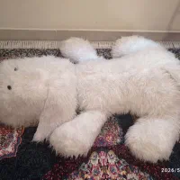 عروسک سگ|اسباببازی|شیراز, شهرک مخابرات|دیوار