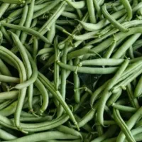 سفارش لوبیا سبز پذیرفته میشود