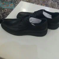 کفش چرم نو نو سایز 43|کیف، کفش، کمربند|رشت, باهنر|دیوار