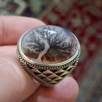 شجر تمام شبکه|کلکسیون اشیاء عتیقه|آفتاب, |دیوار