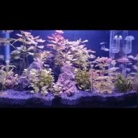 آکواریوم شیشه خم