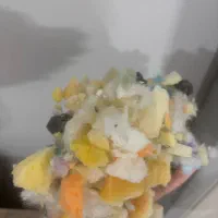 الیاف|رختخواب، بالش، پتو|بوشهر, |دیوار