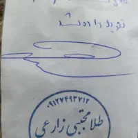 طلا شکسته با فاکتور|جواهرات|تهران, تختی|دیوار