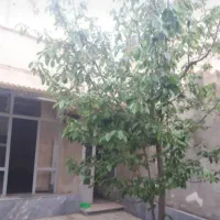 اجاره حیاط دربست نزدیک آبرسان