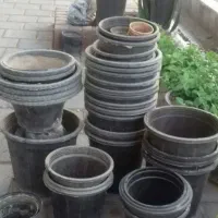 گلدان پلاستیک گلخانه سیاه