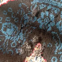 دو عدد قالی 6متری|فرش|مشهد, شهید شهریاری|دیوار