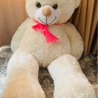 خرس بزرگ نو