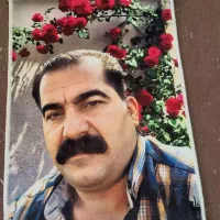 تابلو فرش های چهره|تابلو فرش|گرمسار, |دیوار