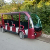 راننده ماشین برقی