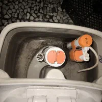 توالت فرنگی درحد نو|لوازم سرویس بهداشتی|بابل, |دیوار