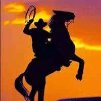 اسب مادیان سفید