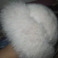 کلاه پشم روسی