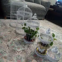 پنج عدد قفس فلزی مخصوص گل