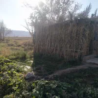 فروش زمین کشاورزی در راین روستای ده ملک|فروش زمین و ملک کلنگی|راین, |دیوار