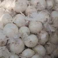 پیاز سفیداعلا ۴تن