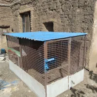 قفس پرنده .آهنی مستحکم|لوازم جانبی حیوانات|فردوس (خراسان), |دیوار