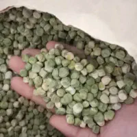 بذر نخود فرنگی ولف