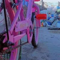 دوچرخه 20 دخترانه صورتی|دوچرخه، اسکیت، اسکوتر|تربت‌حیدریه, کلاته توکلی|دیوار
