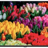 تلویزیون LED 40 اینچ
