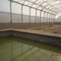 اجاره گلخانه دو سالن مجزا|اجارهٔ دفتر صنعتی، کشاورزی، تجاری|شهریار, دهشاد بالا|دیوار