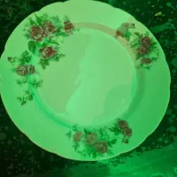 چینی گل سرخ ژاپنی