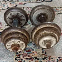 دمبل 15 کیلویی